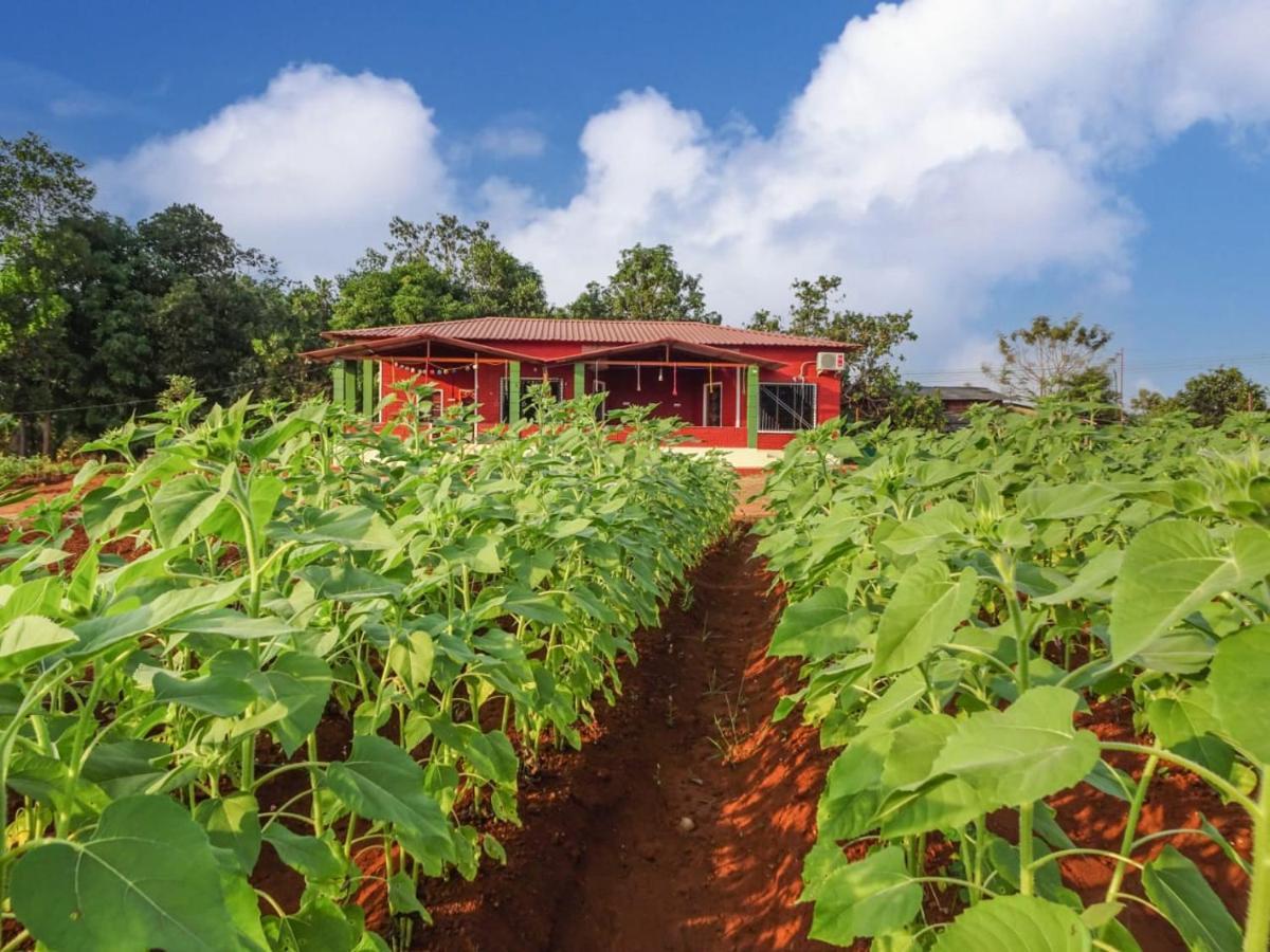 Bed and Breakfast Aarya Farm Bhom Esterno foto
